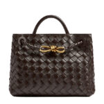 Bottega Veneta Small Andiamo